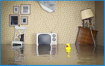 Key Biscayne Restoration Expert Key Biscayne, FL 786-310-0105 - country-wgr-40