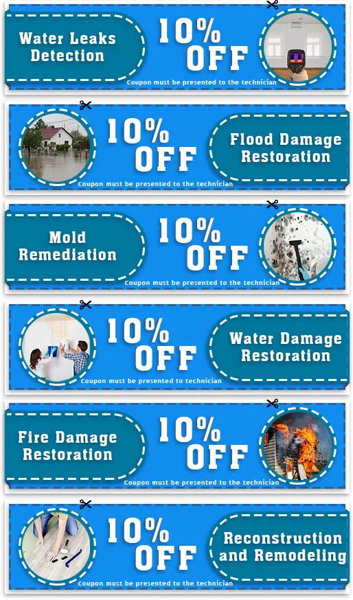 Key Biscayne Restoration Expert Key Biscayne, FL 786-310-0105 - cpn-page-wgr-40