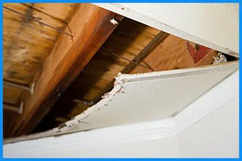 Key Biscayne Restoration Expert Key Biscayne, FL 786-310-0105