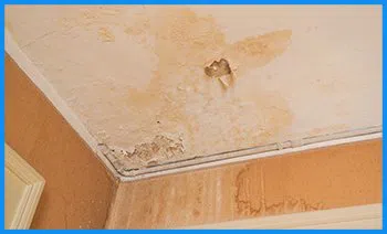 Key Biscayne Restoration Expert Key Biscayne, FL 786-310-0105 - serv-damage-wgr-40