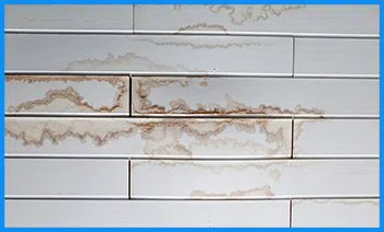 Key Biscayne Restoration Expert Key Biscayne, FL 786-310-0105 - serv-leaks-wgr-40