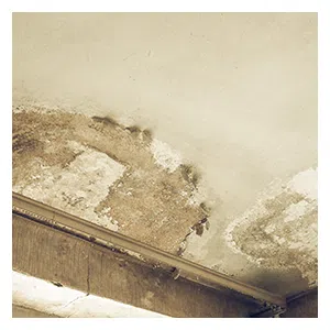 Key Biscayne Restoration Expert Key Biscayne, FL 786-310-0105 - sid-damage-wgr-40